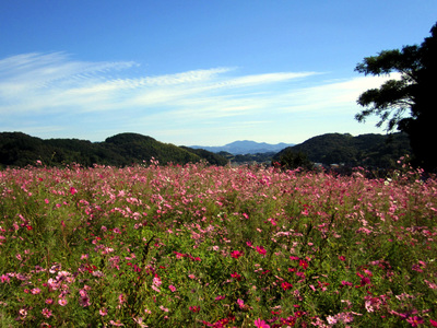 2012_10_24 001.JPG