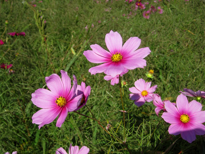 2012_10_24 002.JPG